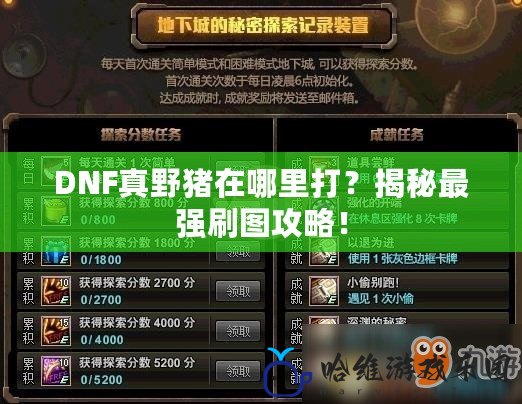 DNF真野豬在哪里打？揭秘最強(qiáng)刷圖攻略！