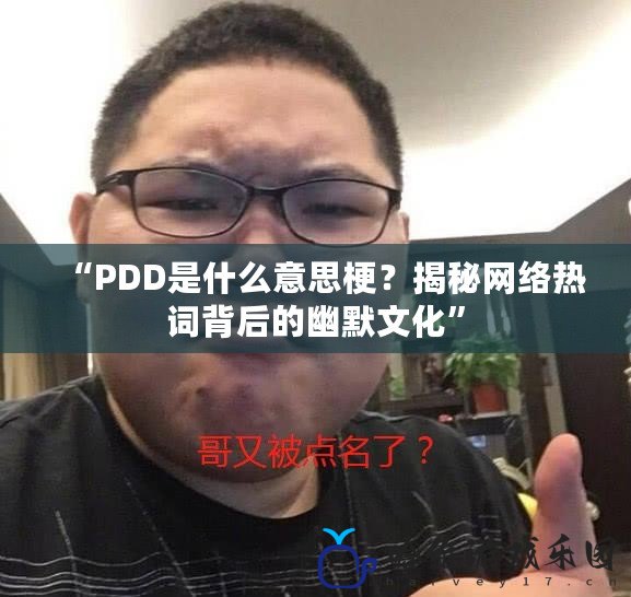 “PDD是什么意思梗？揭秘網絡熱詞背后的幽默文化”