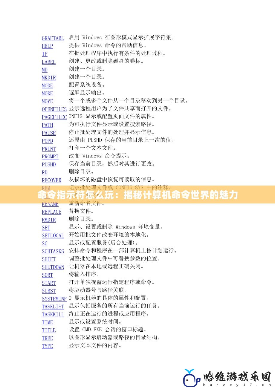 命令指示符怎么玩：揭秘計(jì)算機(jī)命令世界的魅力