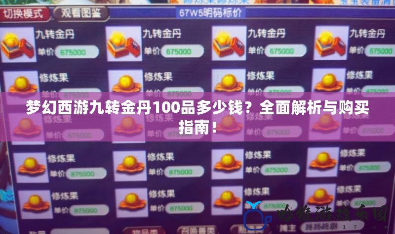 夢幻西游九轉金丹100品多少錢？全面解析與購買指南！