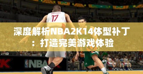 深度解析NBA2K14體型補?。捍蛟焱昝烙螒蝮w驗