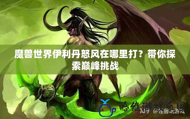 魔獸世界伊利丹怒風在哪里打？帶你探索巔峰挑戰(zhàn)