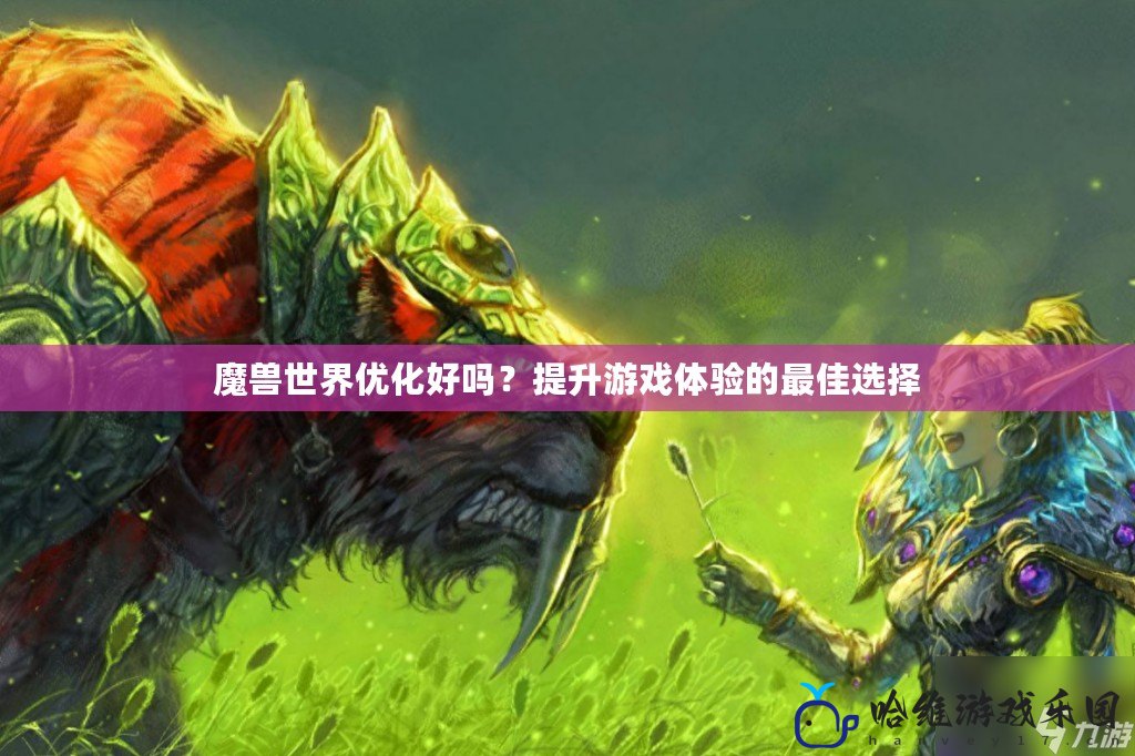 魔獸世界優化好嗎？提升游戲體驗的最佳選擇