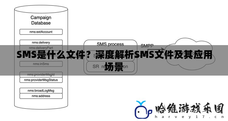 SMS是什么文件？深度解析SMS文件及其應用場景