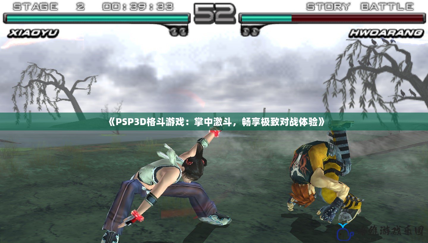 《PSP3D格斗游戲：掌中激斗，暢享極致對戰(zhàn)體驗》