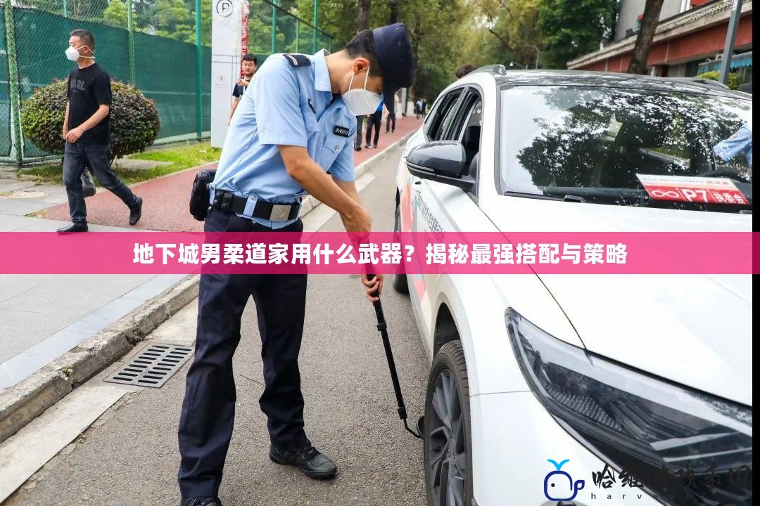 地下城男柔道家用什么武器？揭秘最強搭配與策略