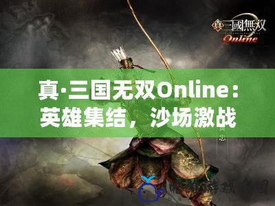 真·三國無雙Online：英雄集結，沙場激戰，帶你走進最震撼的三國世界