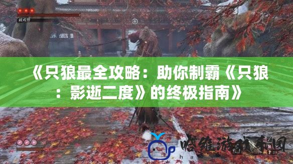 《只狼最全攻略：助你制霸《只狼：影逝二度》的終極指南》