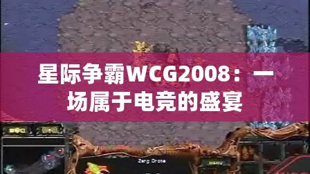 星際爭霸WCG2008：一場屬于電競的盛宴