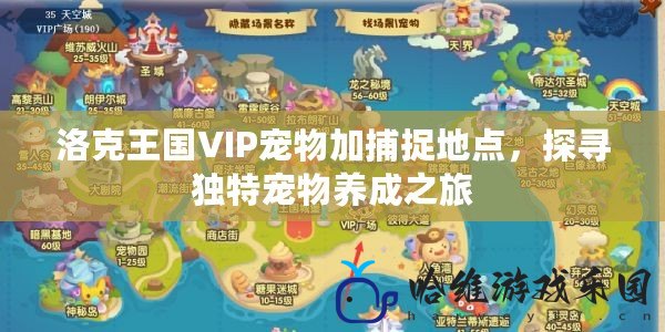 洛克王國VIP寵物加捕捉地點，探尋獨特寵物養成之旅