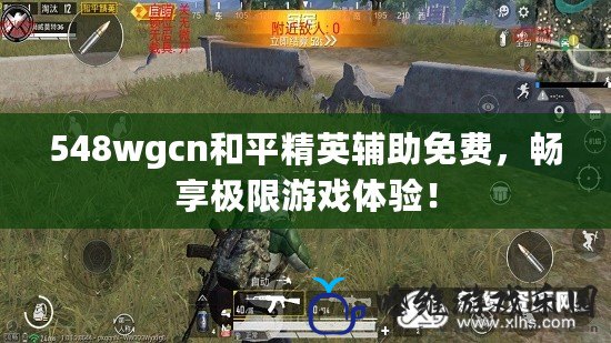 548wgcn和平精英輔助免費(fèi)，暢享極限游戲體驗(yàn)！