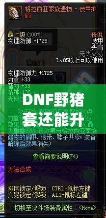 DNF野豬套還能升級嗎？揭秘最強裝備的未來潛力！