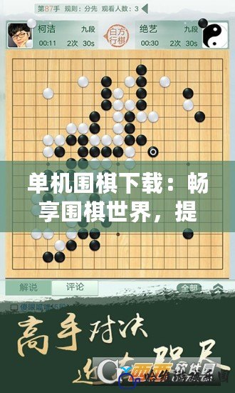 單機(jī)圍棋下載：暢享圍棋世界，提升棋力的不二選擇