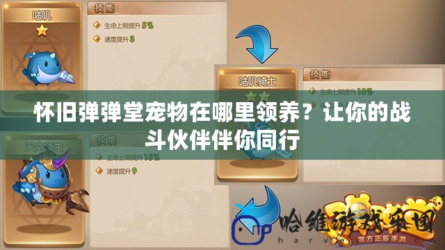 懷舊彈彈堂寵物在哪里領養？讓你的戰斗伙伴伴你同行