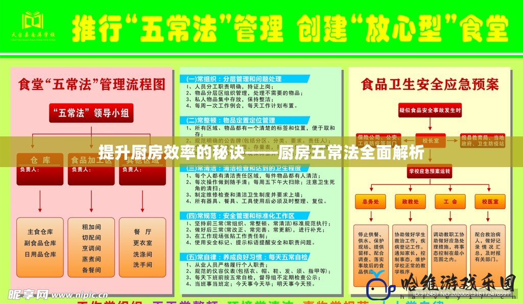 提升廚房效率的秘訣——廚房五常法全面解析