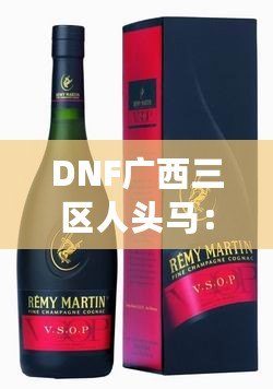 DNF廣西三區人頭馬：稱霸副本的秘密武器！