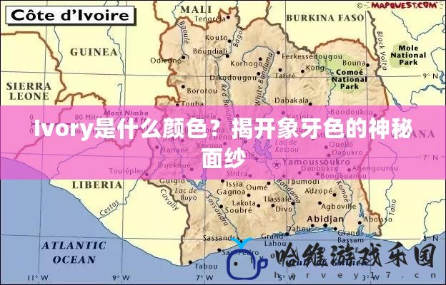 Ivory是什么顏色？揭開象牙色的神秘面紗