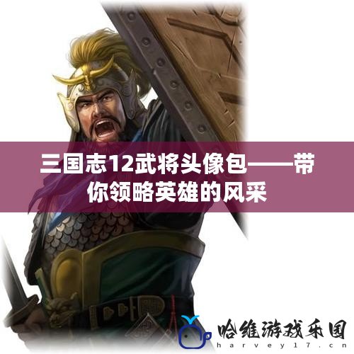 三國志12武將頭像包——帶你領略英雄的風采