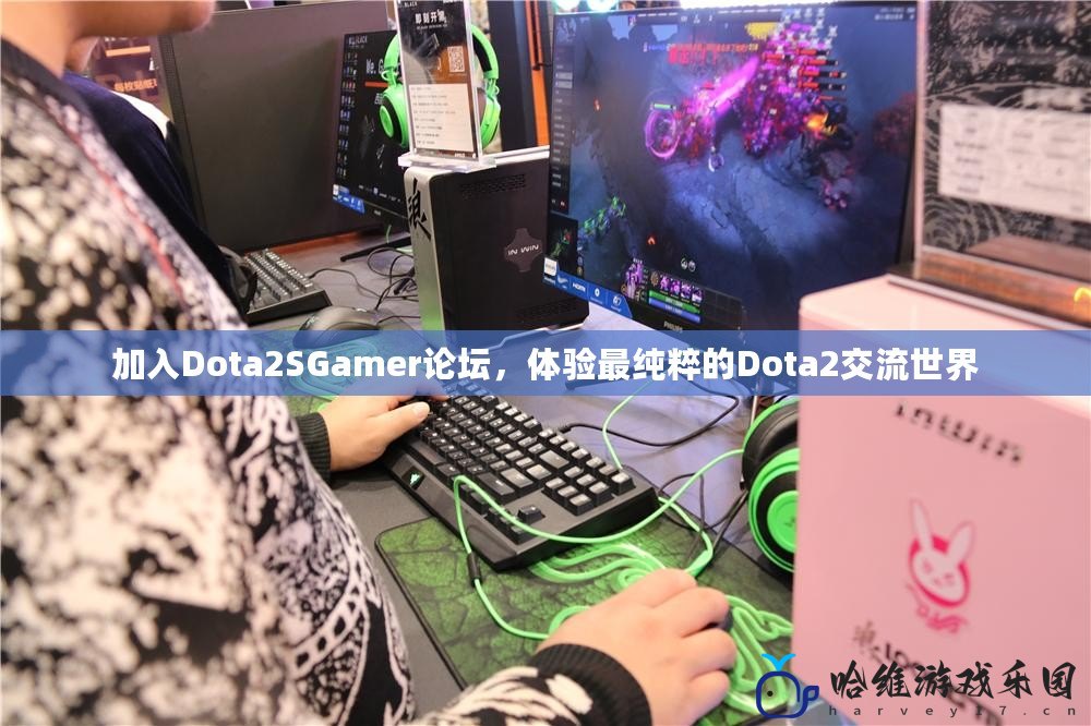 加入Dota2SGamer論壇，體驗最純粹的Dota2交流世界