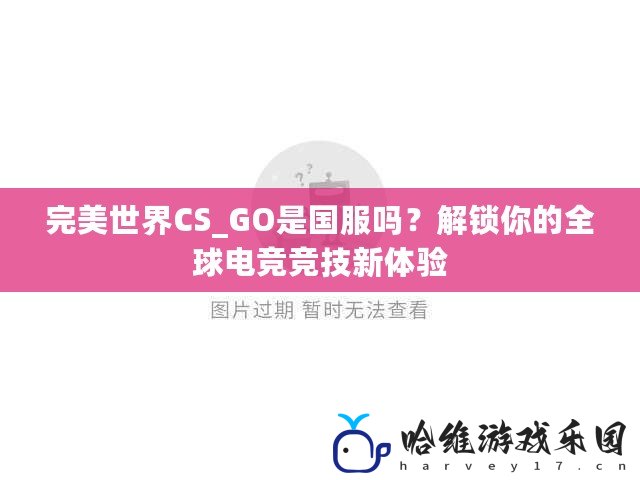 完美世界CS_GO是國服嗎？解鎖你的全球電競競技新體驗(yàn)