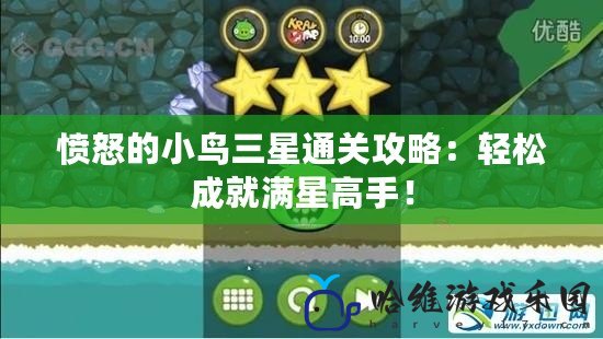 憤怒的小鳥三星通關攻略：輕松成就滿星高手！