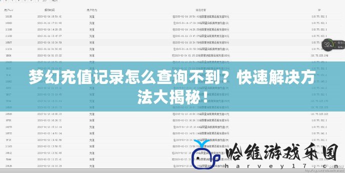 夢(mèng)幻充值記錄怎么查詢不到？快速解決方法大揭秘！
