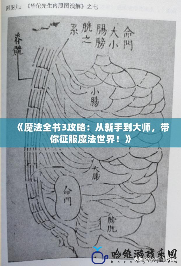 《魔法全書3攻略：從新手到大師，帶你征服魔法世界！》