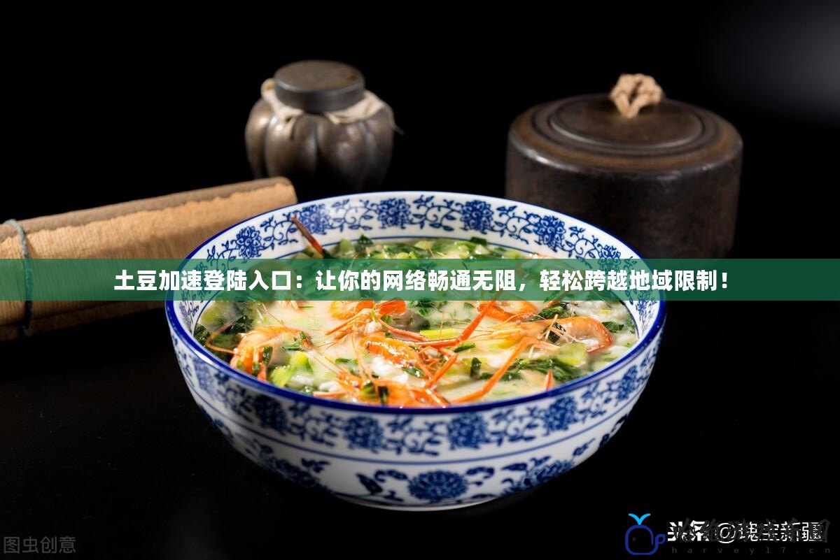 土豆加速登陸入口：讓你的網(wǎng)絡(luò)暢通無阻，輕松跨越地域限制！