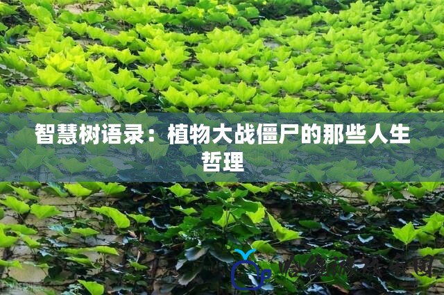 智慧樹語錄：植物大戰(zhàn)僵尸的那些人生哲理