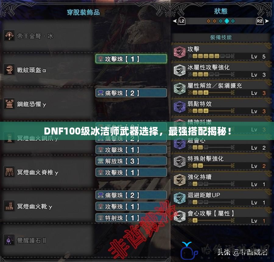 DNF100級冰潔師武器選擇，最強搭配揭秘！