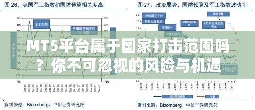 MT5平臺屬于國家打擊范圍嗎？你不可忽視的風(fēng)險(xiǎn)與機(jī)遇