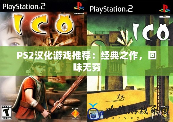 PS2漢化游戲推薦：經(jīng)典之作，回味無窮