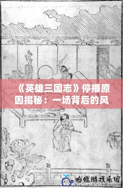 《英雄三國志》停播原因揭秘：一場背后的風云變幻