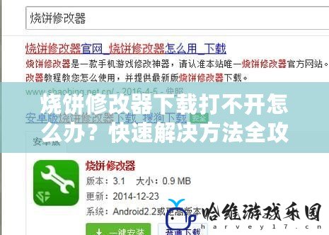 燒餅修改器下載打不開怎么辦？快速解決方法全攻略