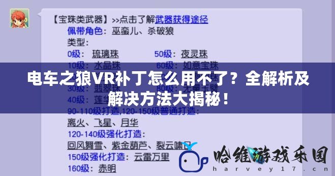 電車之狼VR補丁怎么用不了？全解析及解決方法大揭秘！