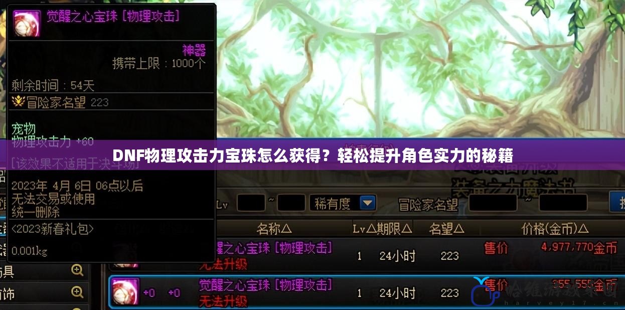 DNF物理攻擊力寶珠怎么獲得？輕松提升角色實力的秘籍