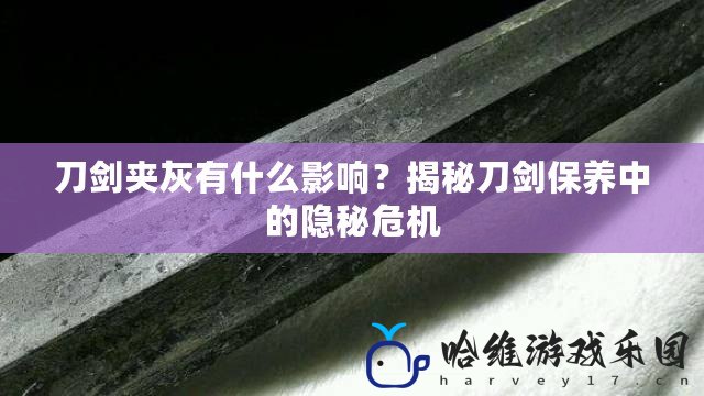 刀劍夾灰有什么影響？揭秘刀劍保養中的隱秘危機