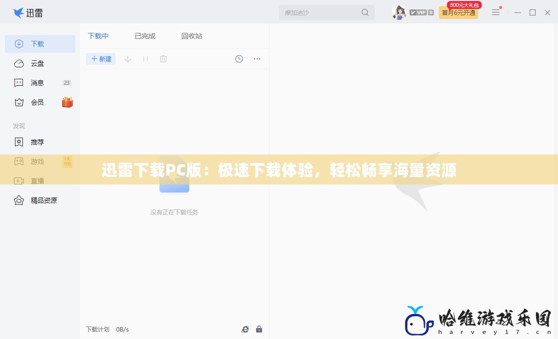 迅雷下載PC版：極速下載體驗，輕松暢享海量資源