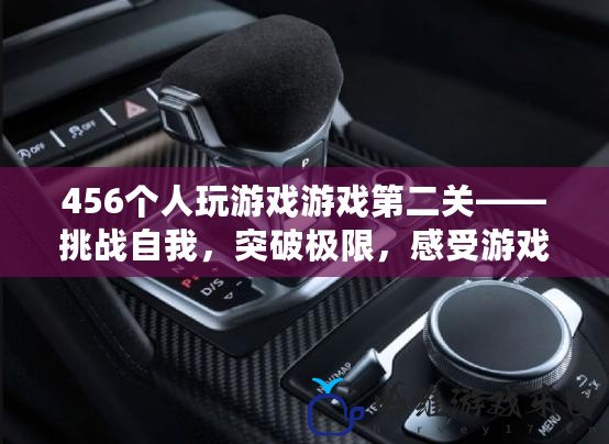 456個人玩游戲游戲第二關——挑戰自我，突破極限，感受游戲的無窮魅力！