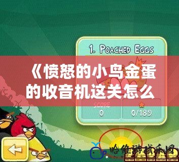 《憤怒的小鳥金蛋的收音機這關怎么過？詳細攻略助你輕松通關！