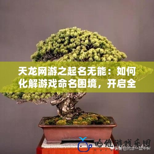 天龍網(wǎng)游之起名無(wú)能：如何化解游戲命名困境，開啟全新冒險(xiǎn)