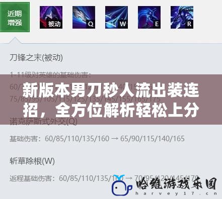 新版本男刀秒人流出裝連招，全方位解析輕松上分！