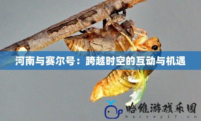 河南與賽爾號：跨越時空的互動與機遇