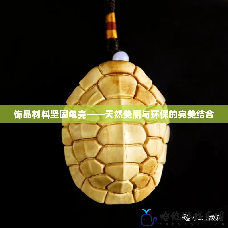 飾品材料堅(jiān)固龜殼——天然美麗與環(huán)保的完美結(jié)合