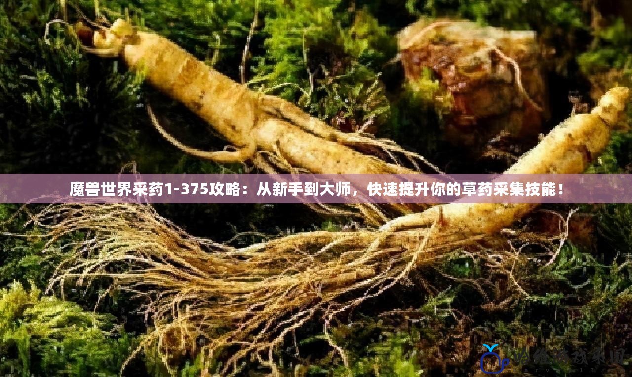 魔獸世界采藥1-375攻略：從新手到大師，快速提升你的草藥采集技能！