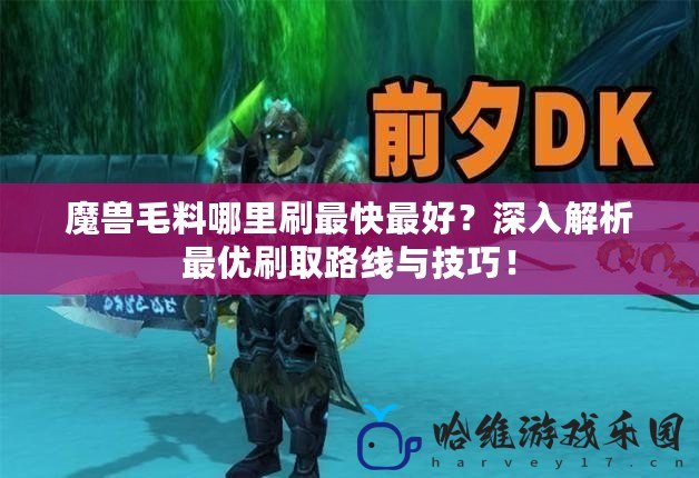 魔獸毛料哪里刷最快最好？深入解析最優刷取路線與技巧！