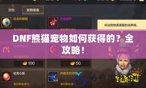 DNF熊貓寵物如何獲得的？全攻略！