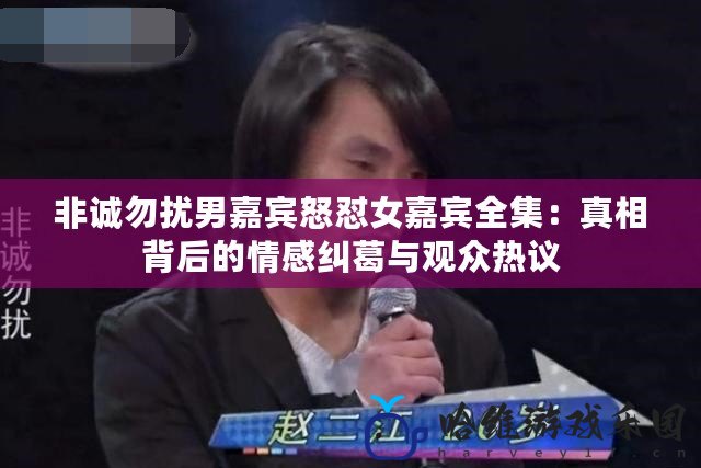 非誠勿擾男嘉賓怒懟女嘉賓全集：真相背后的情感糾葛與觀眾熱議