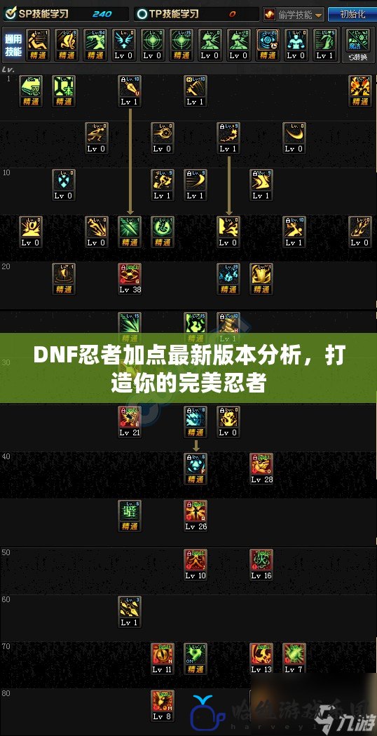 DNF忍者加點最新版本分析，打造你的完美忍者