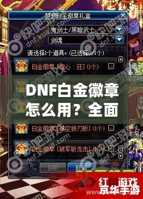 DNF白金徽章怎么用？全面解析白金徽章的價值與使用技巧